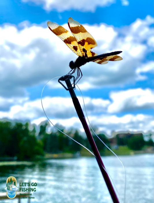 IMG_2472